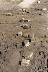 The white bricks lying in the mud