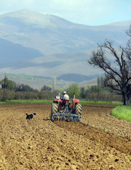 Obraz premium plowing field in spring