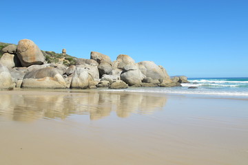 Beautiful Australian coast in Wilson Promontory National Park 
