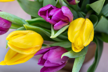 Fototapeta premium Purple and yellow tulip bouquet. More tulip on the grey backgrou