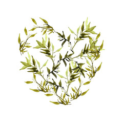 Watercolor illustration of bamboo plant