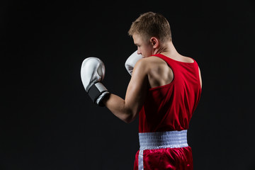 Young boxer in red form