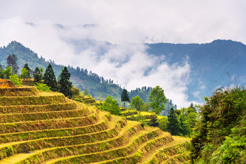 Fototapeta na wymiar rice terraces landscape in may (village Dazhai, Guangxi province