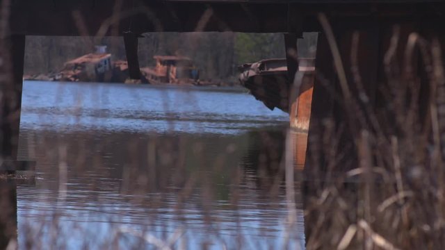 Graveyard of ships on the river.  Many rusty barges and boats in water. Chernobyl zone of alienation