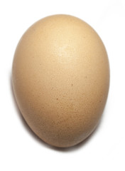 Close up of an egg isolated on white background