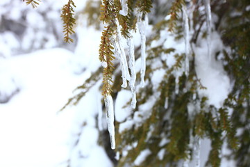 雪山のつらら