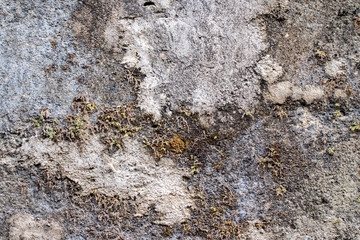 white concrete wall texture