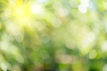 Obraz premium Abstract nature background.