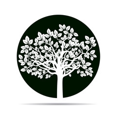 White Tree and Roots. Vector Illustration.