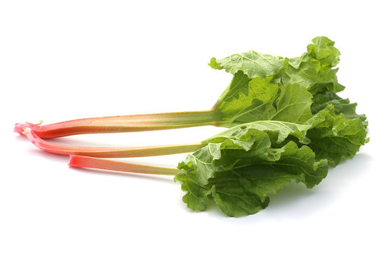 rhubarbe