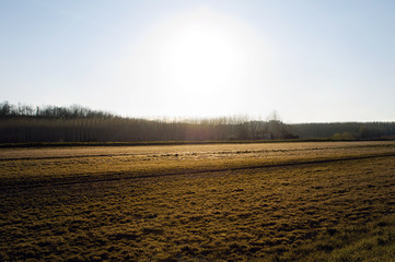 Campagna del Padule di Fucecchio