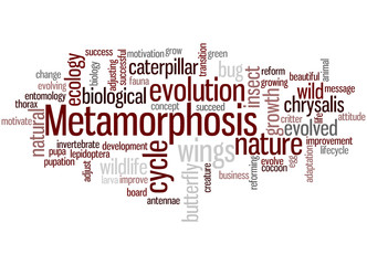 Metamorphosis, word cloud concept 7