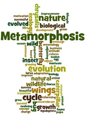 Metamorphosis, word cloud concept 8