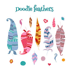Collection of vector doodle feathers and decorative elements