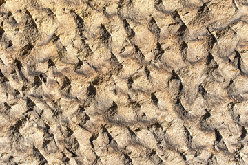 Wall - shaped sandstone tiles detail 5