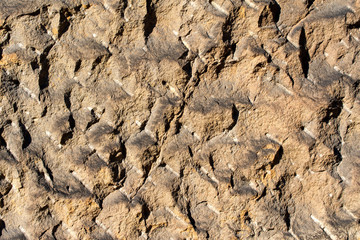 Wall - shaped sandstone tiles detail 1