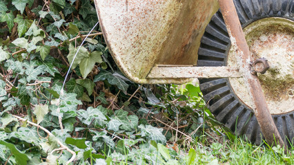 Rusty old garden wheel leaning against a tree with leaves - focus on garden wheel-1