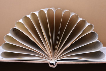 Closeup view of book pages
