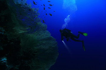Fototapeta na wymiar One diver underwater