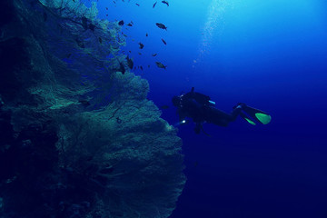 Fototapeta na wymiar unusual photo diver underwater background