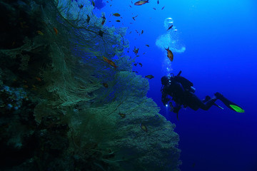 Fototapeta na wymiar One diver underwater