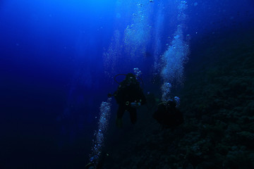 Plakat group of divers underwater on a coral reef