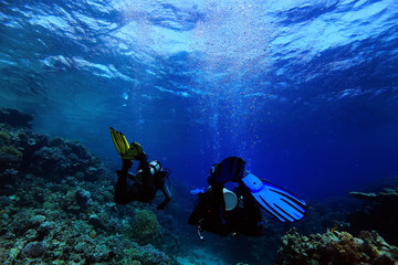 unusual photo diver underwater background