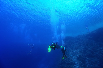 Naklejka na ściany i meble freediving scuba photo