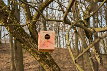 Birdhouse on a tree in spring