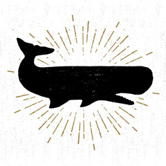Hand drawn vintage icon with a textured sperm whale vector illustration.
