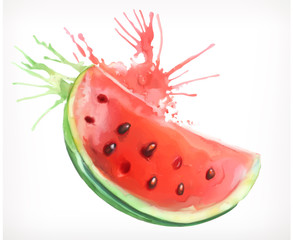 Watercolor painting, watermelon, vector illustration, isolated on a white background