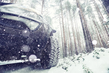 Winter car wheel studs, the concept of winter car ride