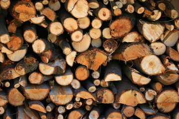 wood texture wood fuel