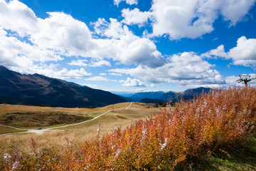 Fototapeta na wymiar Italian Alps panorama