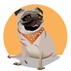 cute portrait of a pug