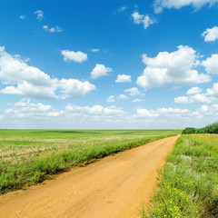 orange road in green fields and clouds over it