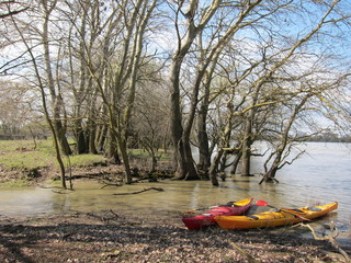 Two red and yellow kayak on the shore of the island in the river Danube on early spring