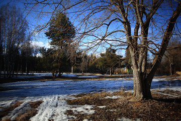 Fototapeta na wymiar early spring snow melts in the park landscape