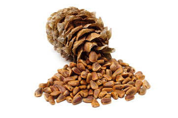 cedar cone and seeds on white background