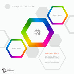 Infographic_honeycomb structure #Vector Graphic