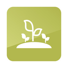 Plant sprout vector icon. Garden