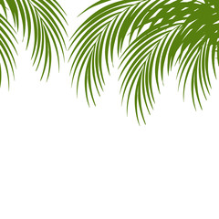 Fototapeta na wymiar Palm leaf silhouettes background. Tropical leaves. Vector illustration