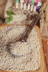 raw the barley on wood background.