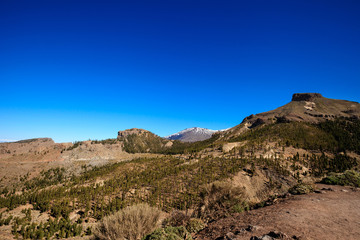 Fototapeta na wymiar Beautiful Tenerife volcano - El Teide