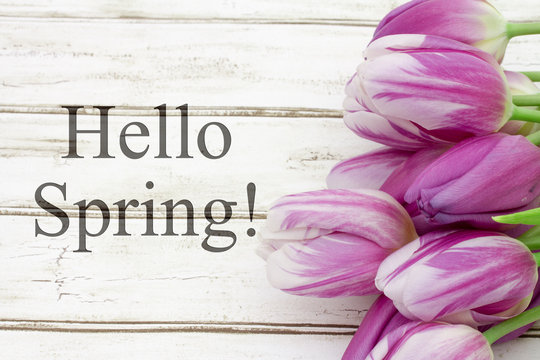 Hello Spring Greeting