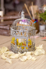vintage Bird cages