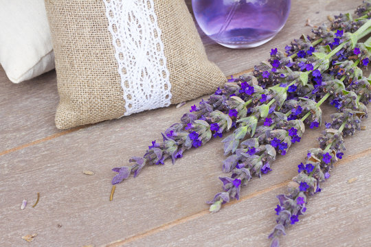 Lavender flowers spa