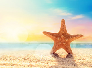 Naklejka na ściany i meble Summer beach. Starfish on a beach sand against the background of the ocean.