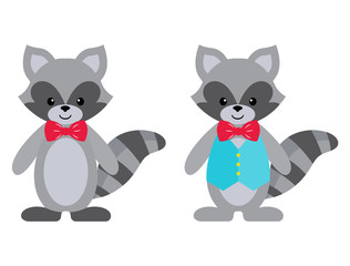 raccoon set