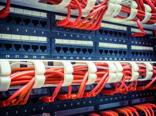 Close up of red network cables connected to switch